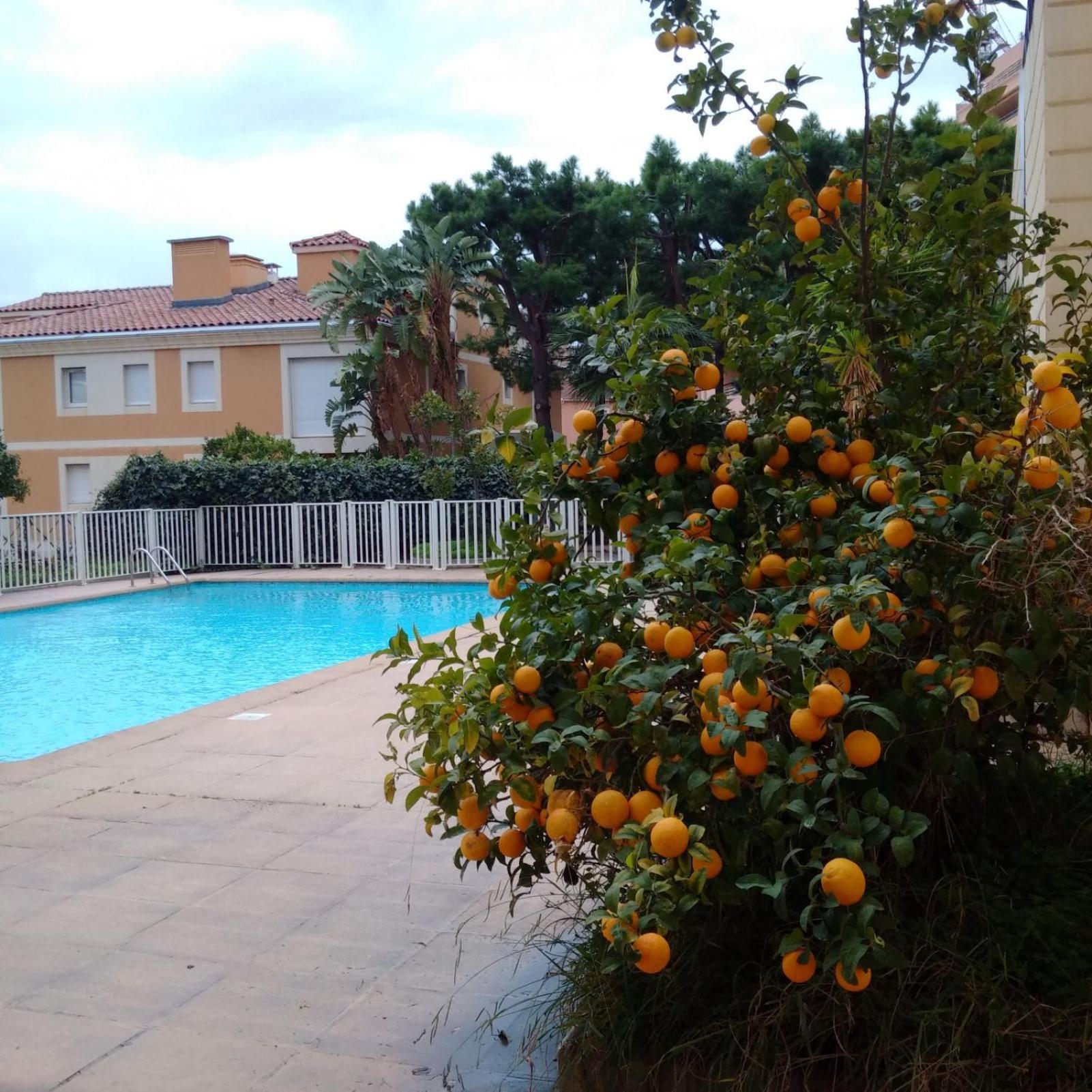 Direct Monaco Studio Devant Piscine Beausoleil Exterior foto